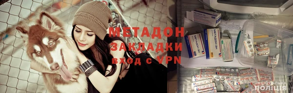 мяу мяу мука Иннополис