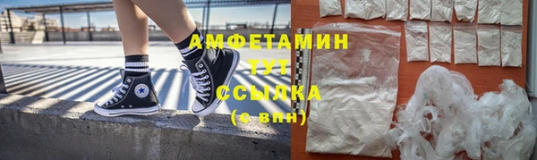 spice Инта