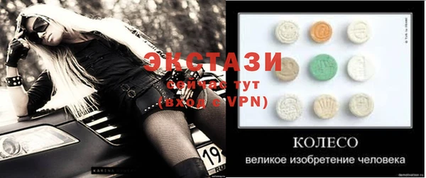 spice Инта