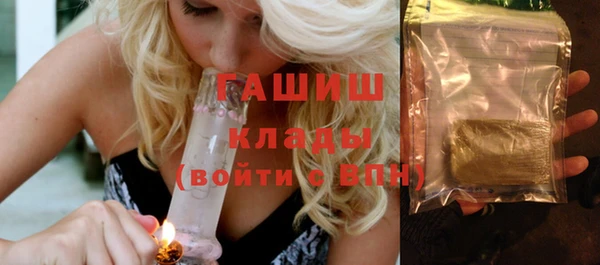 spice Инта