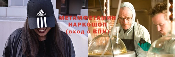мяу мяу мука Иннополис