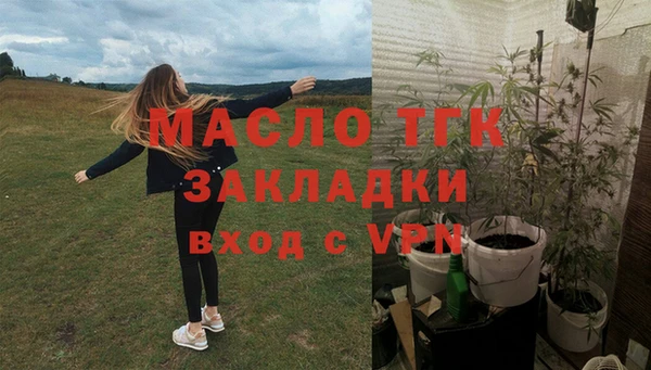 мяу мяу мука Иннополис
