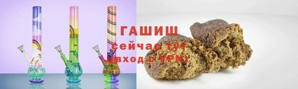 spice Инта
