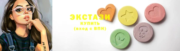 spice Инта