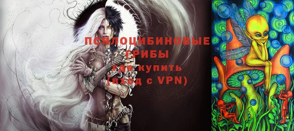 мяу мяу мука Иннополис