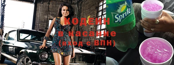 spice Инта