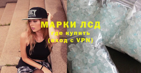 spice Инта