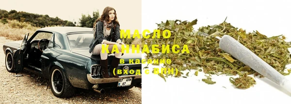 spice Инта