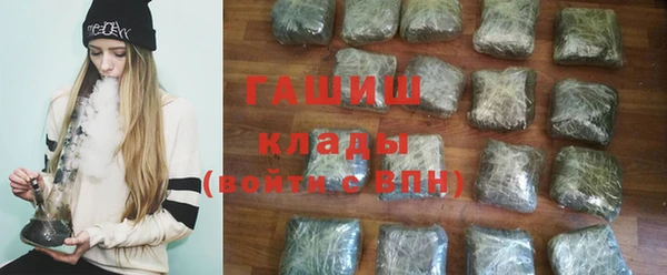 spice Инта