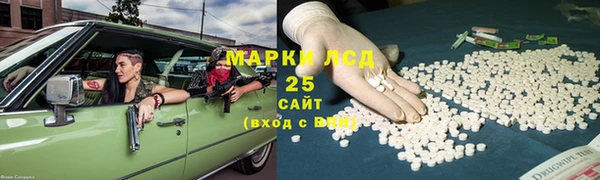 мяу мяу мука Иннополис